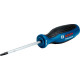 Викрутка Bosch T20 Professional 100 мм (1600A01V0C)