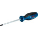 Викрутка Bosch T30 Professional 125 мм (1600A01V0E)