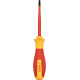 Викрутка Bosch VDE Professional TX 25 x 100 мм (1600A02NC8)